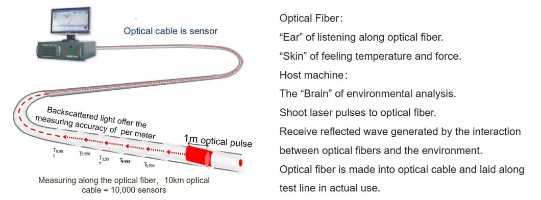 Integrated Optical Fiber Sensing System Monitoring Leakage, Damage and Subsidence for Pipes in Oil and Gas Exploration Industry