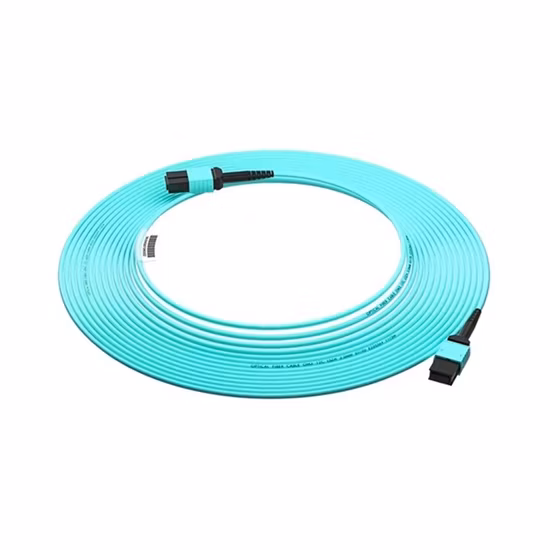 Om3 12 Core MPO/MTP